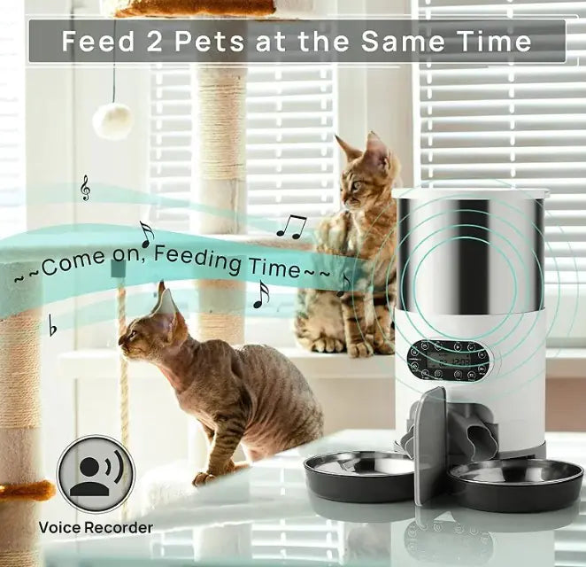 Brokken Dispenser voor Kat of Hond