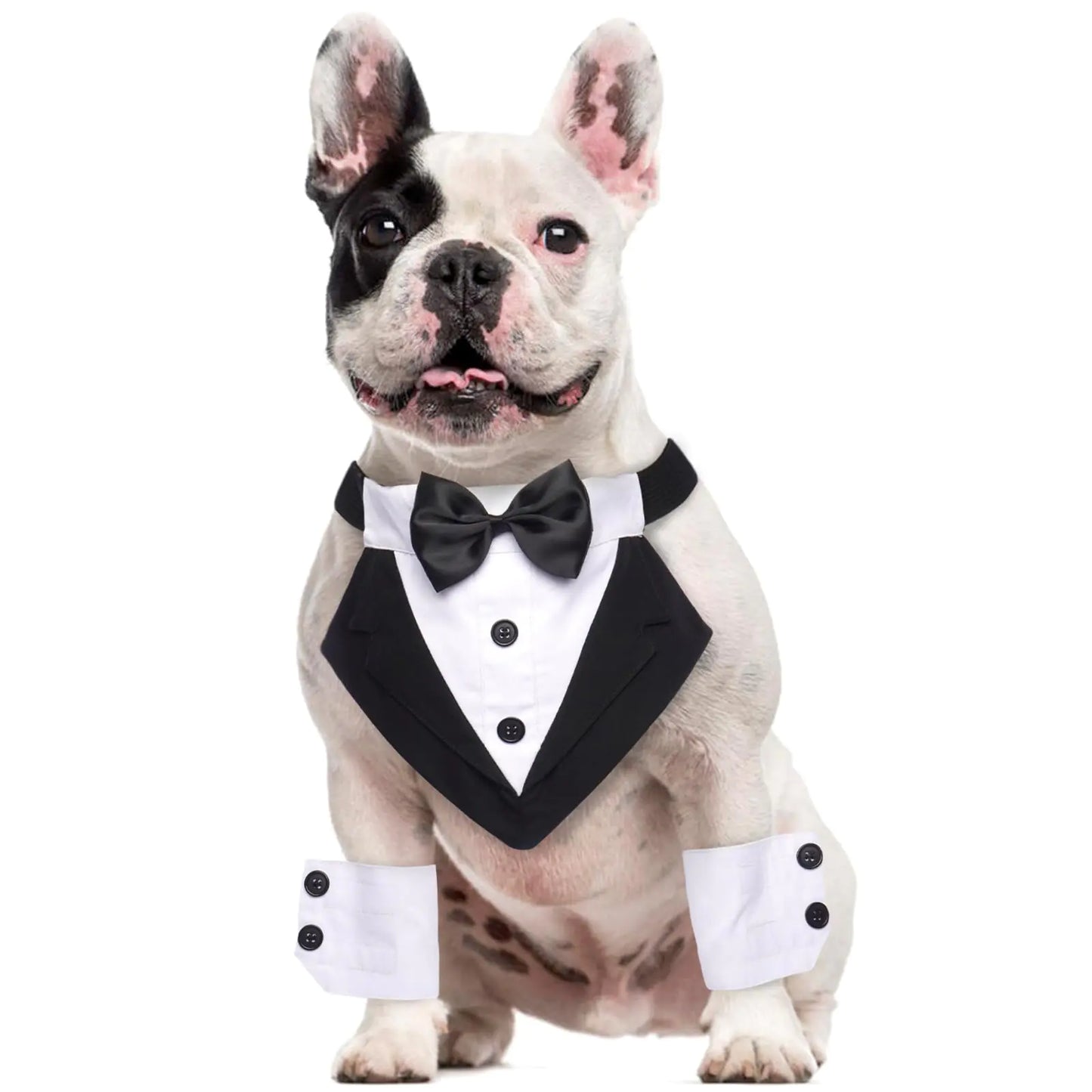 Honden Tuxedo