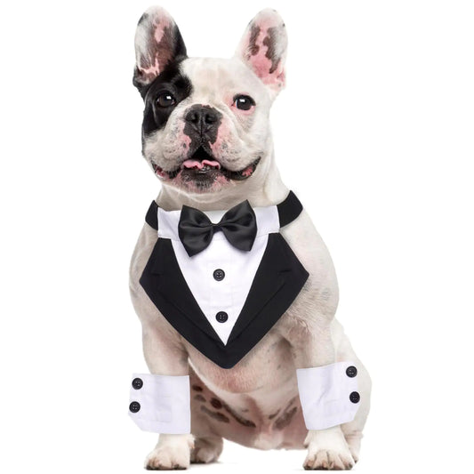 Honden Tuxedo