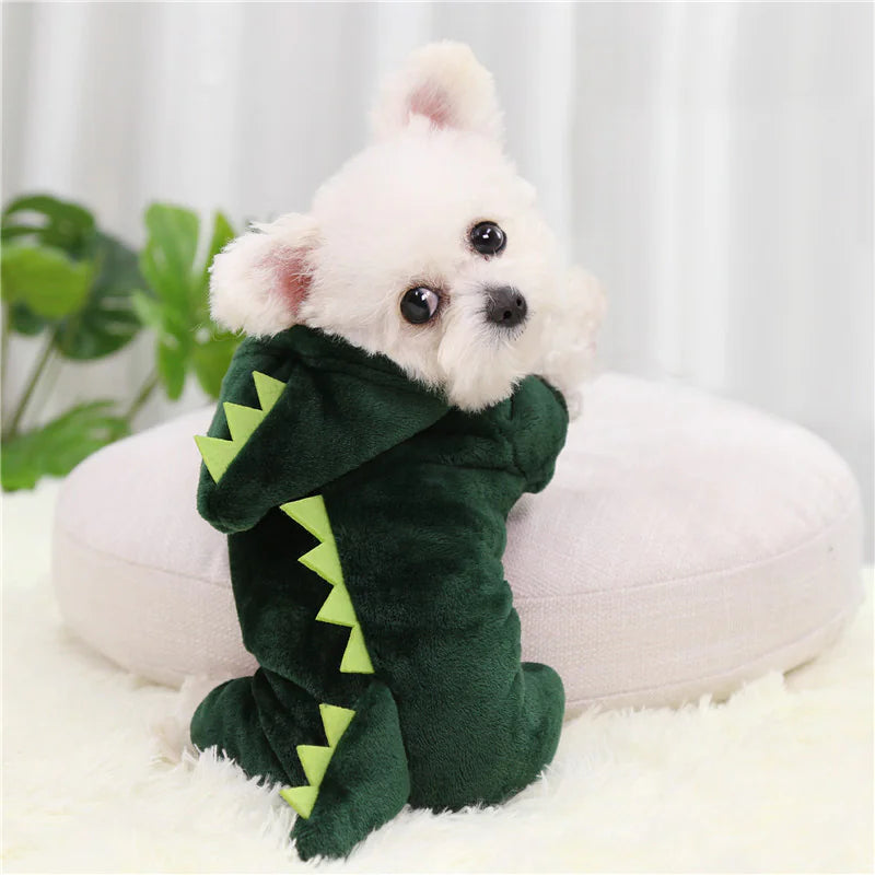 Carnavaloutfit Hond