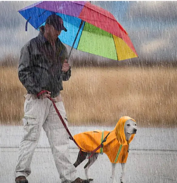 Regenjas Hond