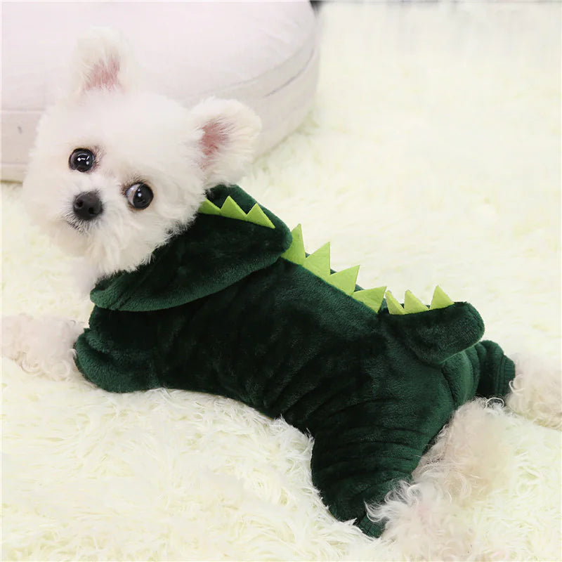 Carnavaloutfit Hond