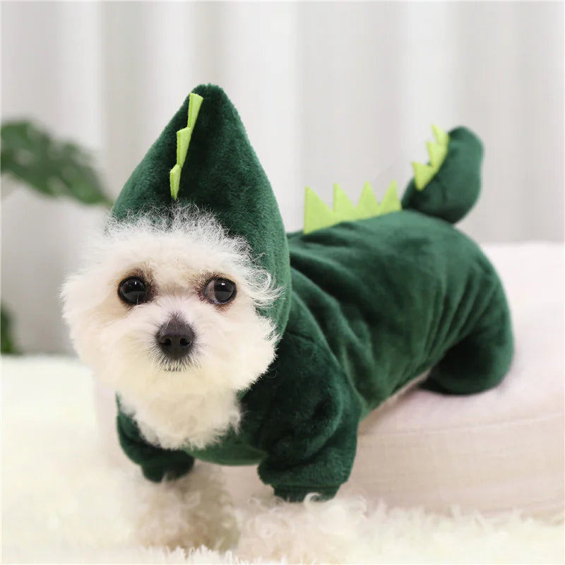 Carnavaloutfit Hond