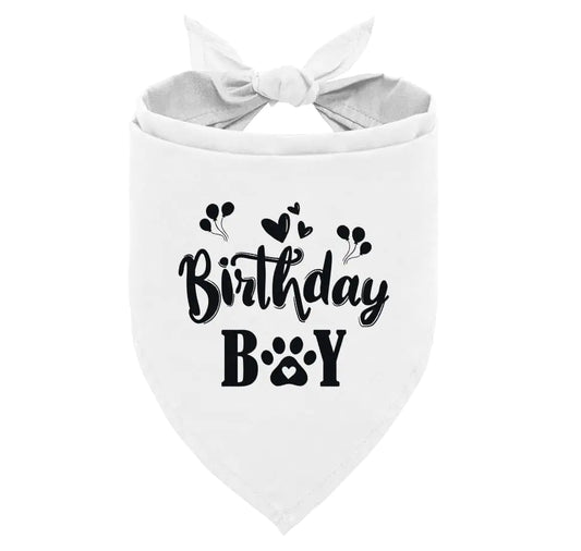 Hondenbandana Birthday Boy Dog